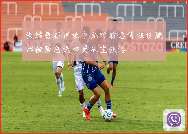 张稀哲在训练中无对抗急停扭伤腿部被紧急送回更衣室救治