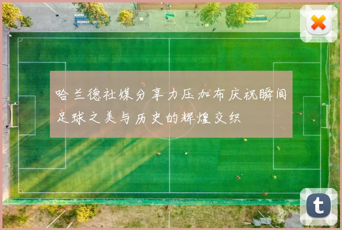 哈兰德社媒分享力压加布庆祝瞬间足球之美与历史的辉煌交织